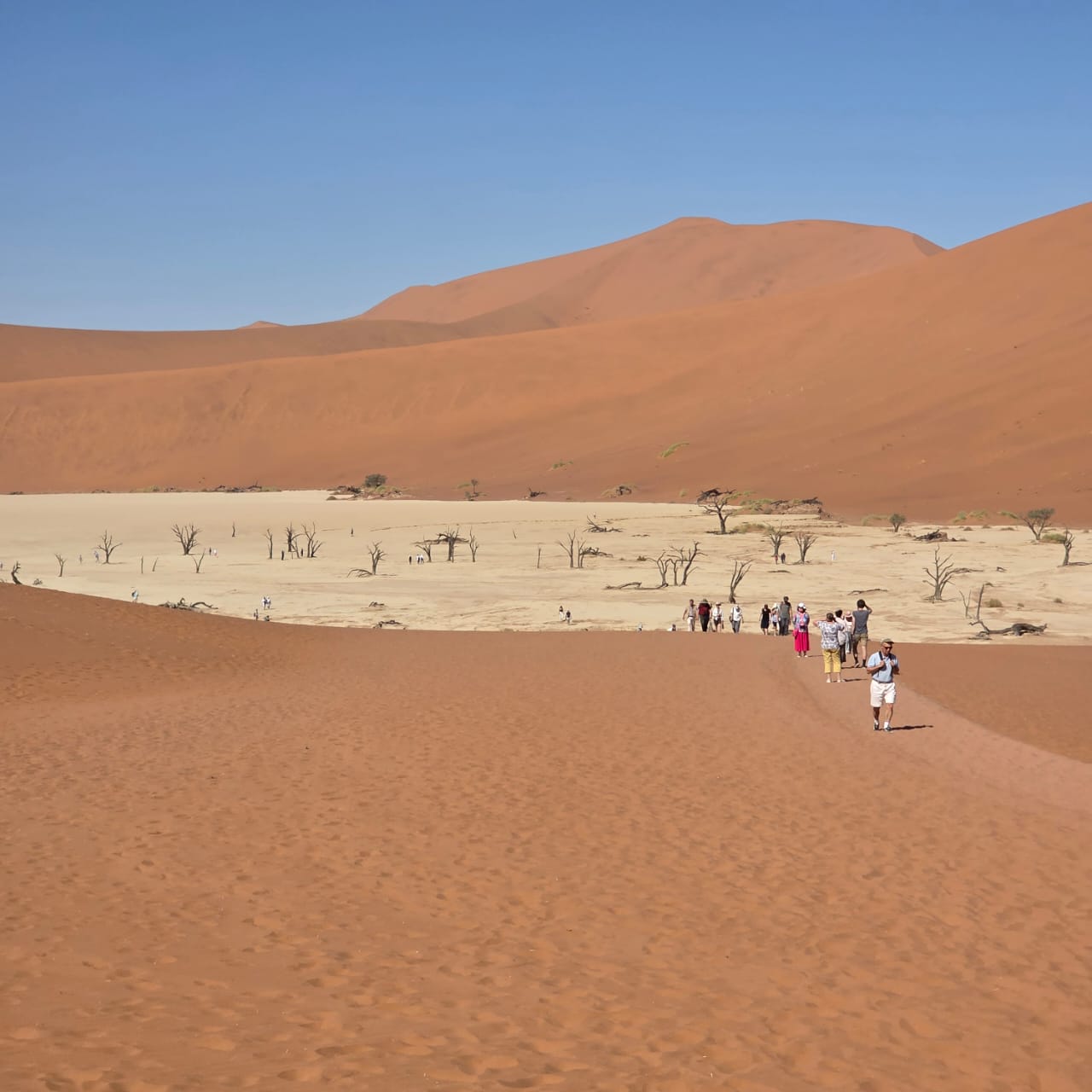 Deadvlei dunes with walkers