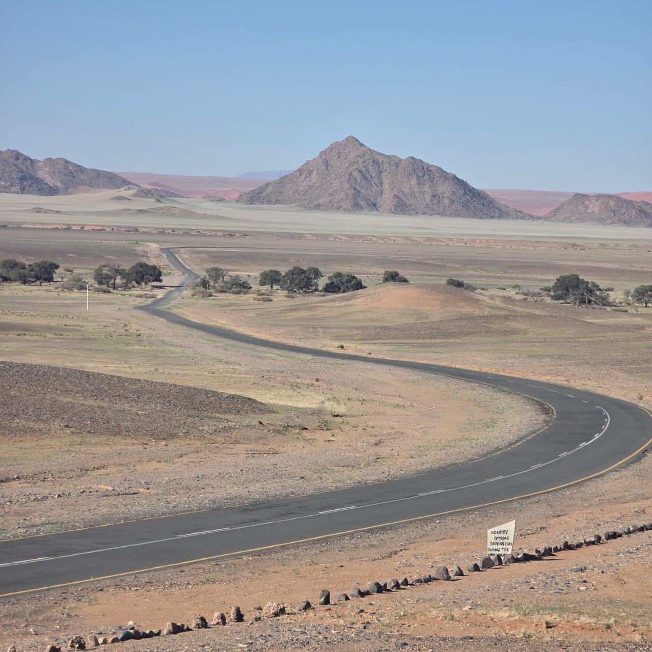 Winding tar road in the Naukluft