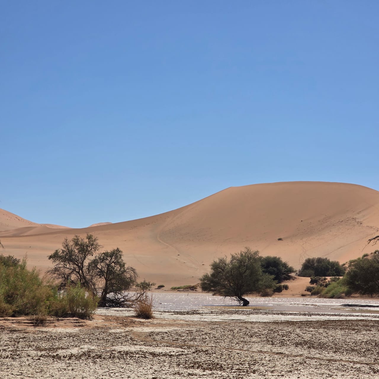 Sossusvlei dune at midday