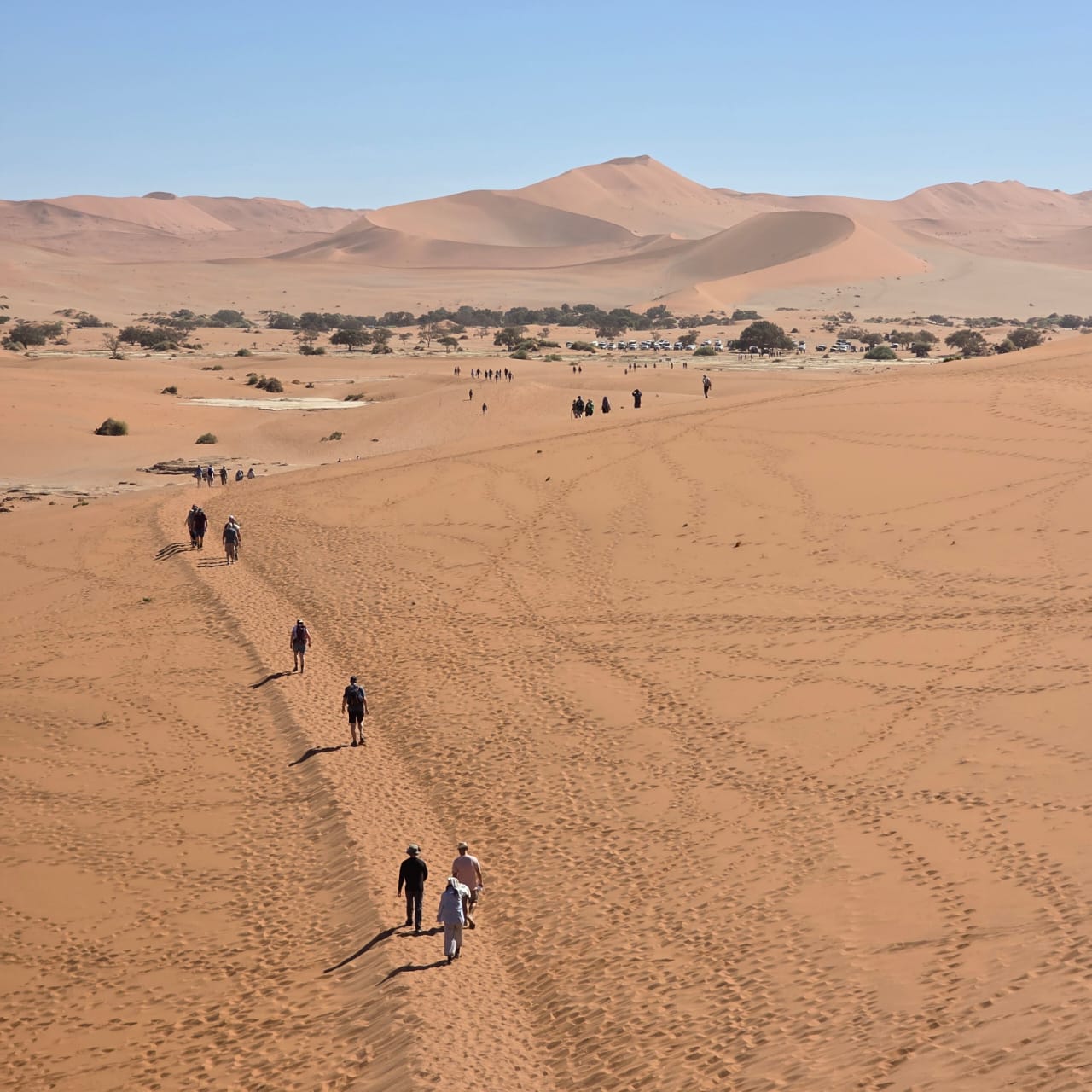 Climbing Sossusvlei dunes