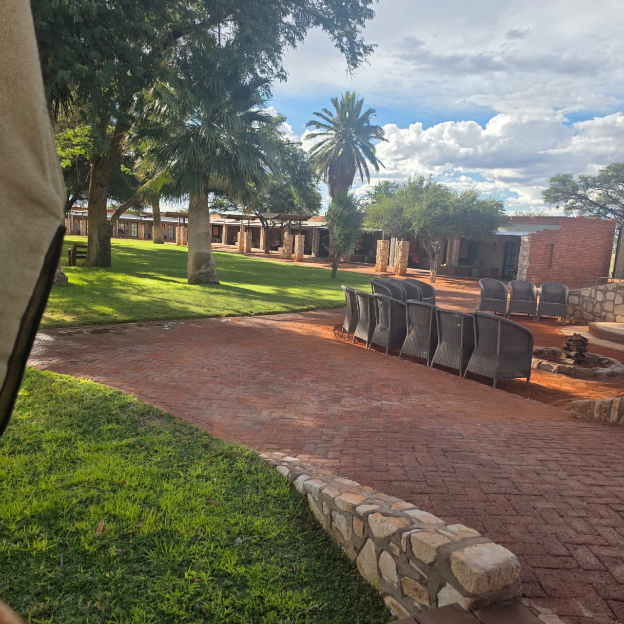 Lodge patio with palms