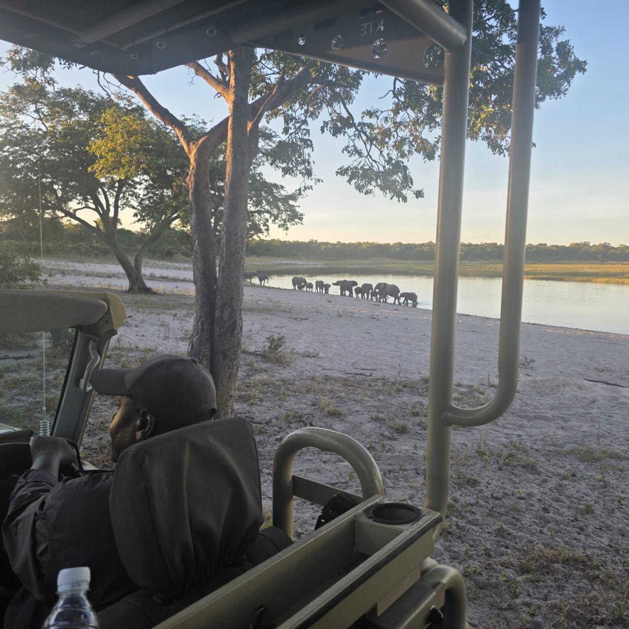 View from open game drive vehicle