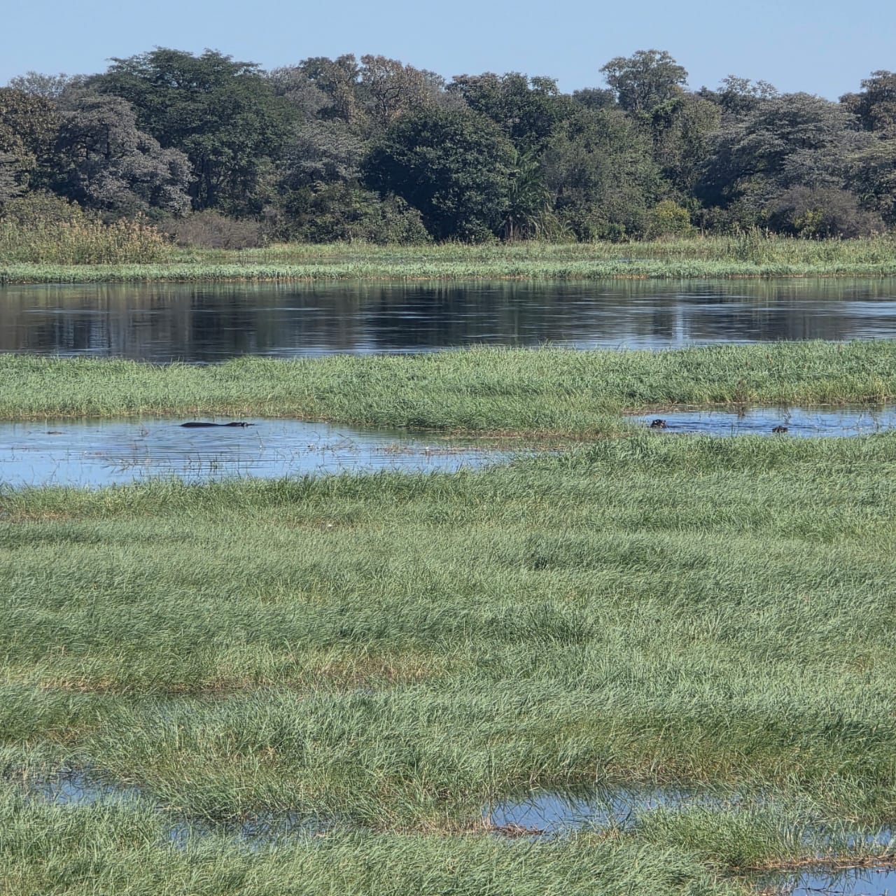 Caprivi wetlands