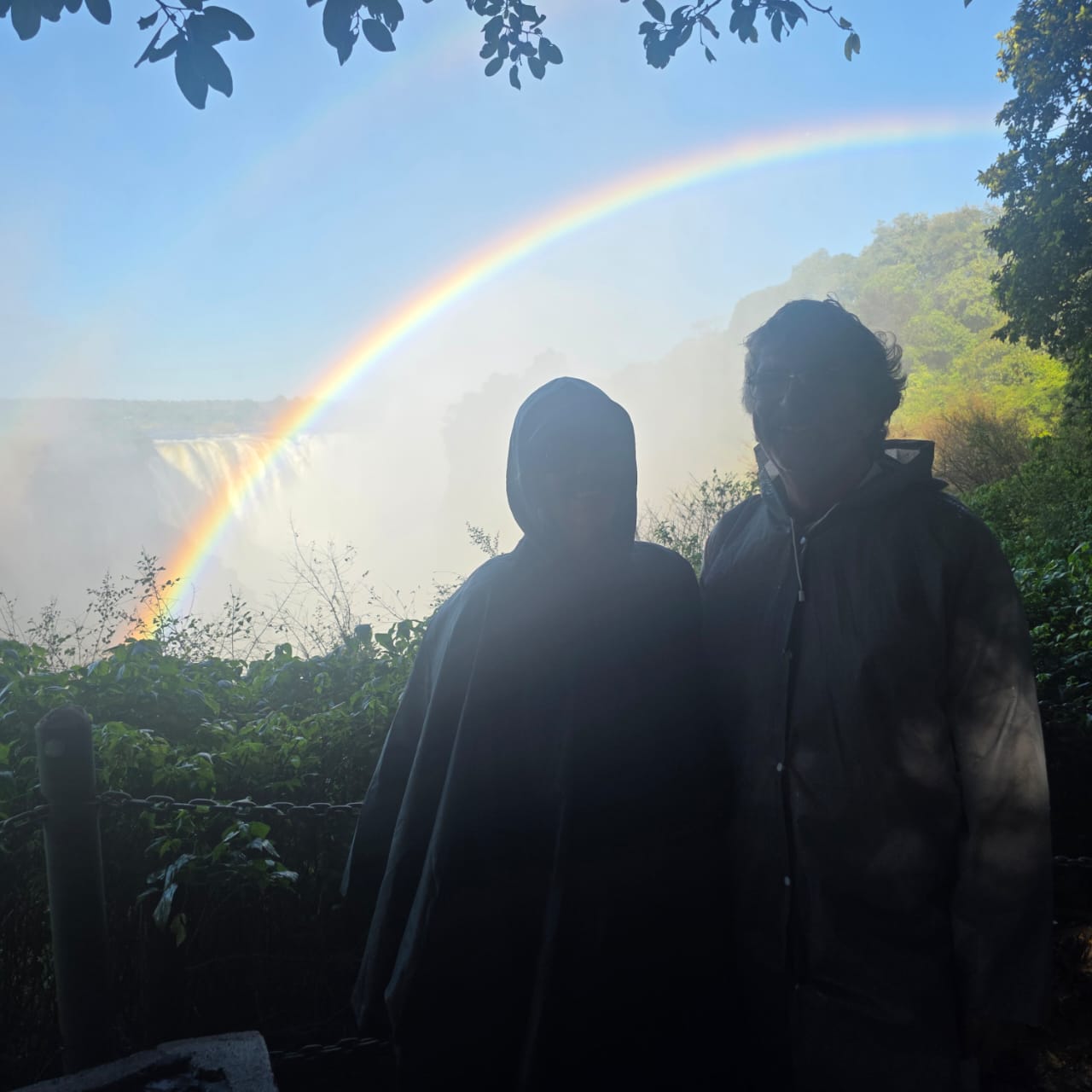 Vic Falls in the spray