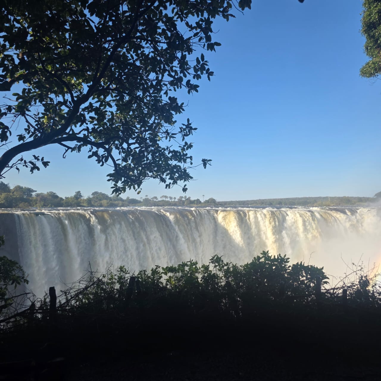 Victoria Falls