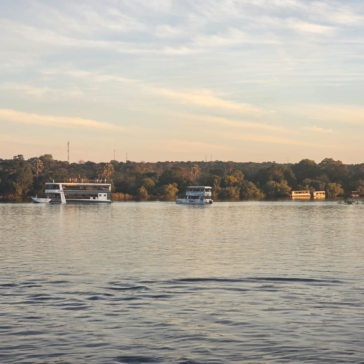 Zambezi cruise boats